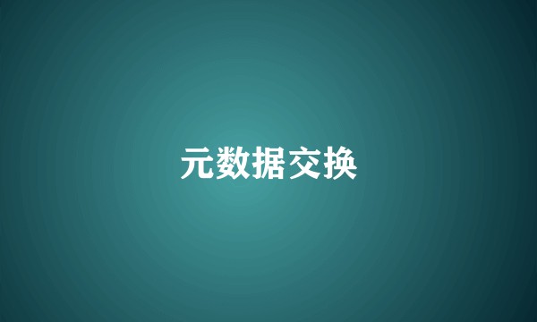 元数据交换