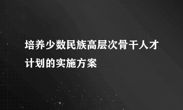 培养少数民族高层次骨干人才计划的实施方案