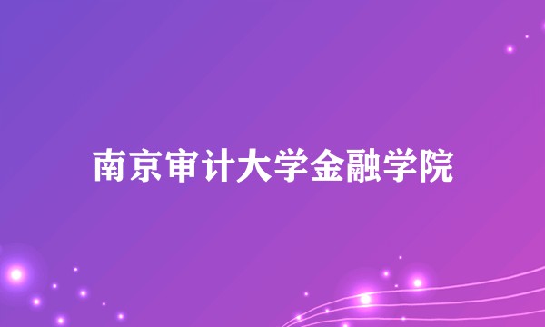 南京审计大学金融学院