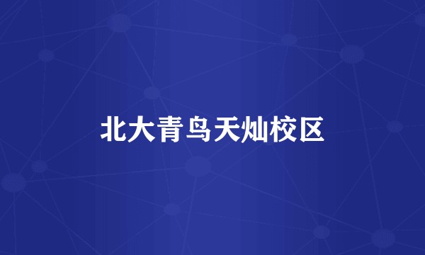 北大青鸟天灿校区