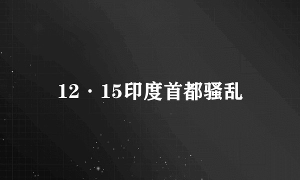 12·15印度首都骚乱