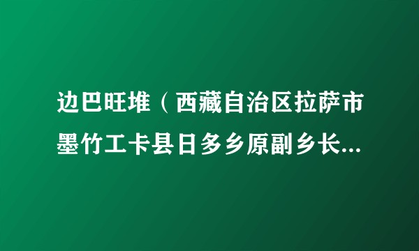 边巴旺堆（西藏自治区拉萨市墨竹工卡县日多乡原副乡长、怎村党总支第一书记）