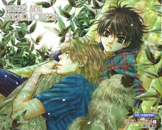 super lovers(阿部美幸创作的BL漫画)