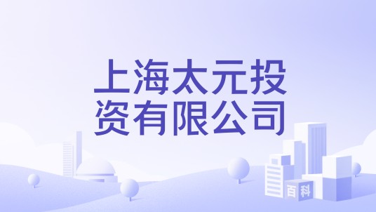 上海太元投资有限公司