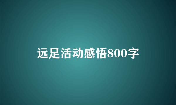 远足活动感悟800字