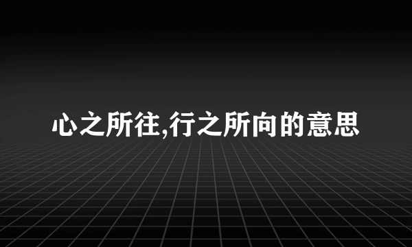 心之所往,行之所向的意思