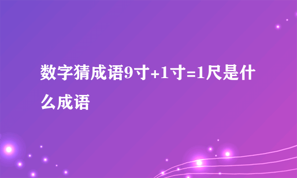 数字猜成语9寸+1寸=1尺是什么成语
