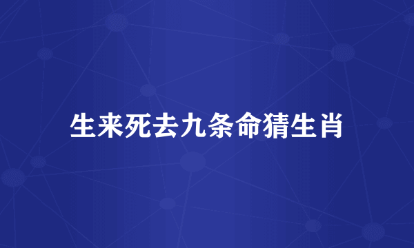 生来死去九条命猜生肖