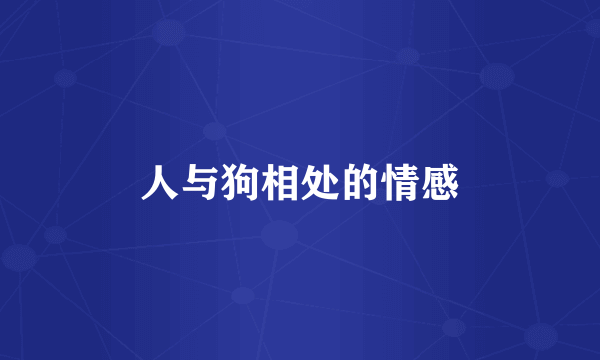 人与狗相处的情感