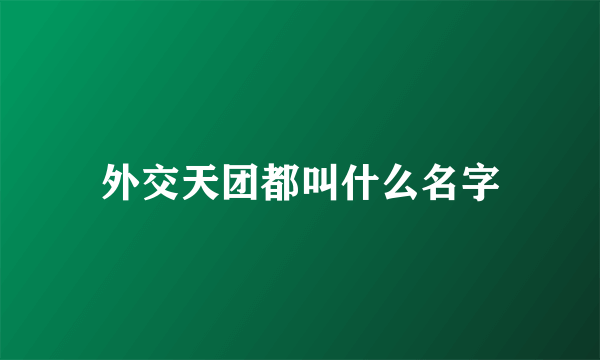 外交天团都叫什么名字