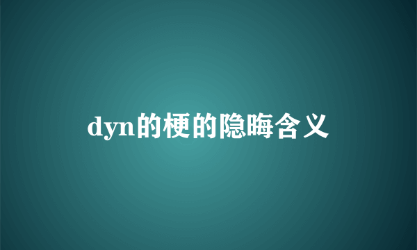 dyn的梗的隐晦含义