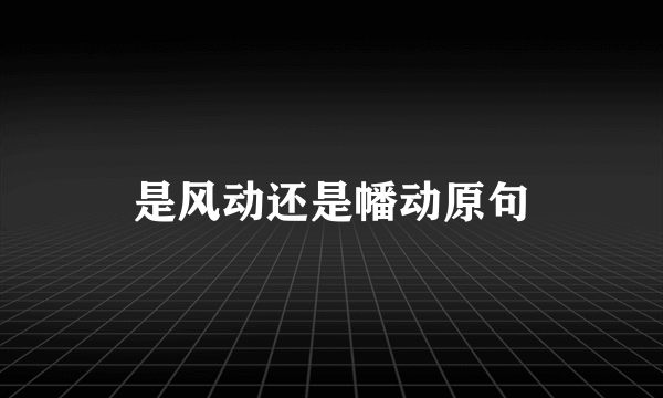 是风动还是幡动原句