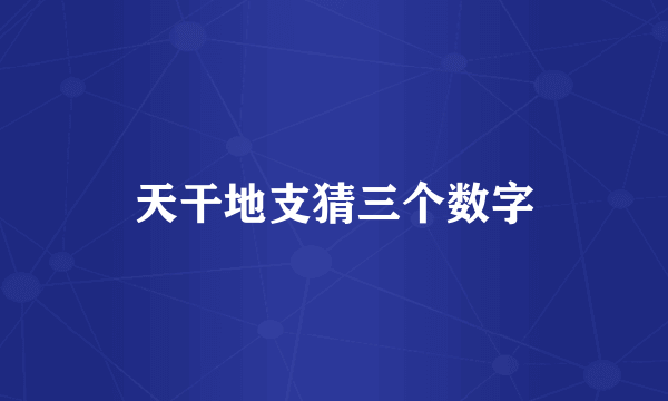 天干地支猜三个数字