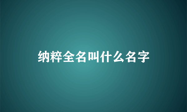 纳粹全名叫什么名字