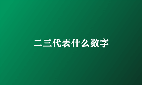 二三代表什么数字