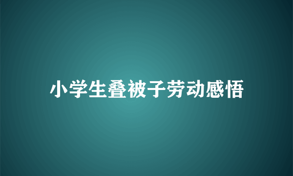 小学生叠被子劳动感悟