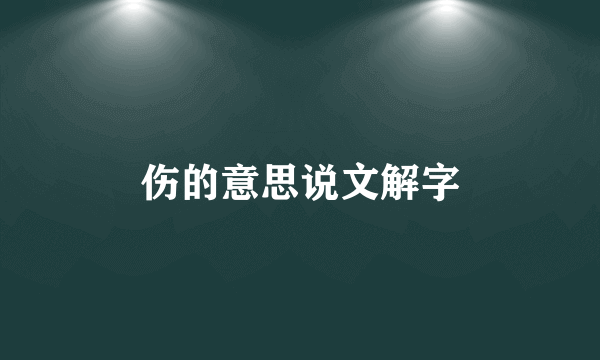 伤的意思说文解字