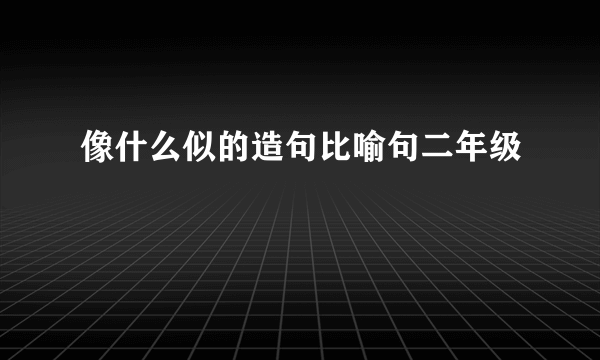 像什么似的造句比喻句二年级