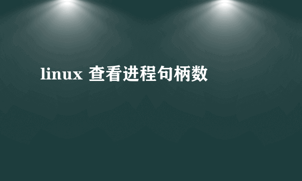 linux 查看进程句柄数