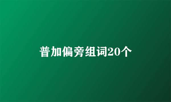 普加偏旁组词20个