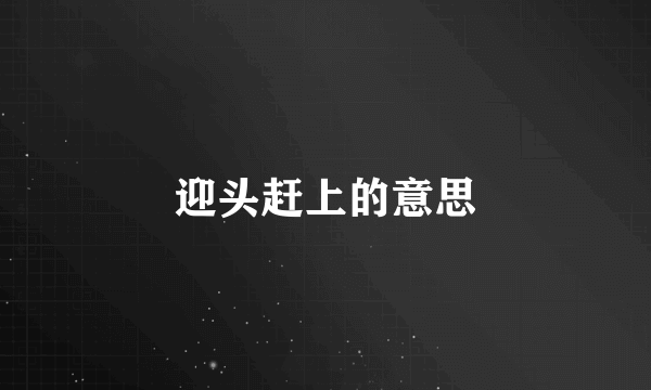 迎头赶上的意思