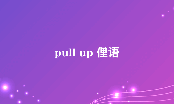 pull up 俚语