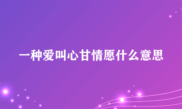 一种爱叫心甘情愿什么意思