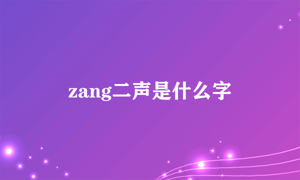 zang二声是什么字