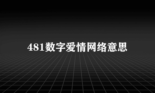 481数字爱情网络意思