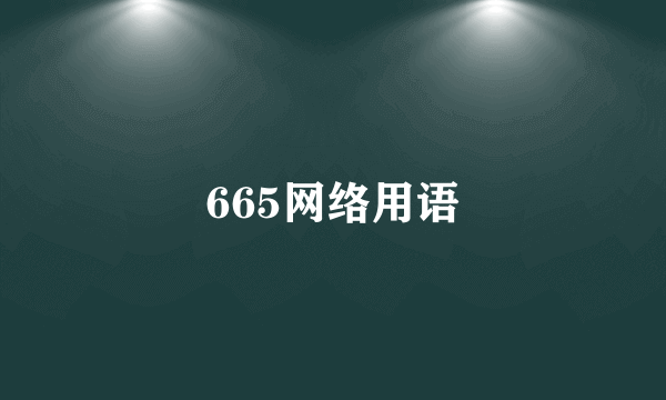 665网络用语