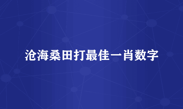 沧海桑田打最佳一肖数字