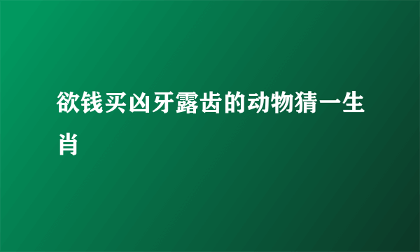 欲钱买凶牙露齿的动物猜一生肖