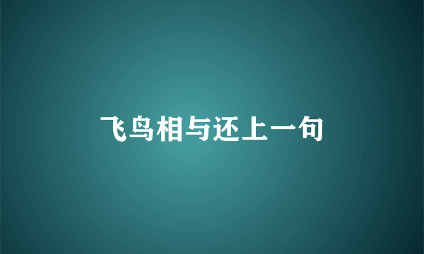 飞鸟相与还上一句