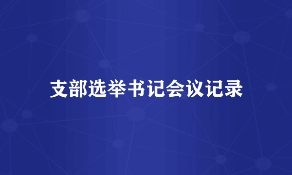 支部选举书记会议记录