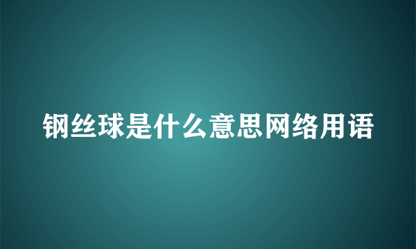 钢丝球是什么意思网络用语