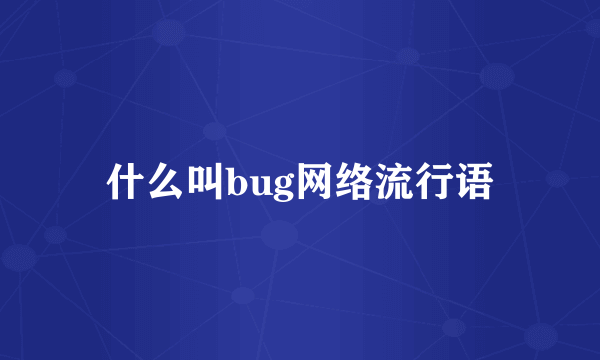 什么叫bug网络流行语