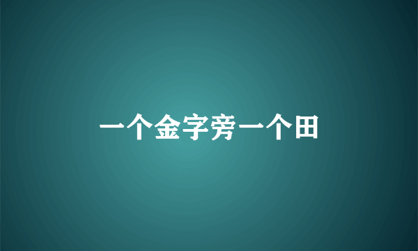 一个金字旁一个田