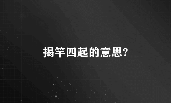 揭竿四起的意思?
