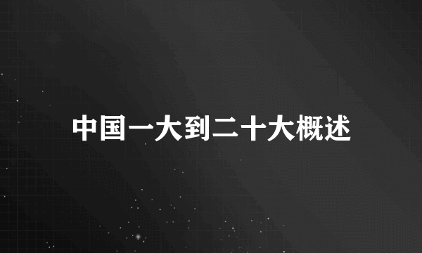 中国一大到二十大概述