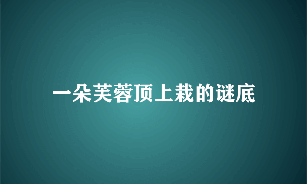 一朵芙蓉顶上栽的谜底