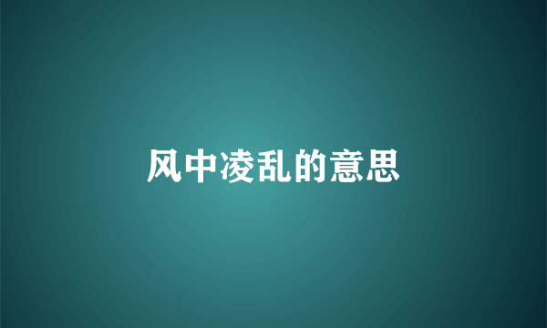 风中凌乱的意思