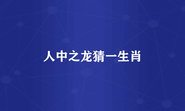 人中之龙猜一生肖