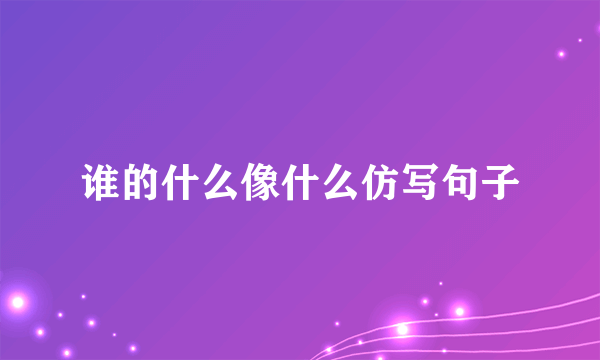 谁的什么像什么仿写句子