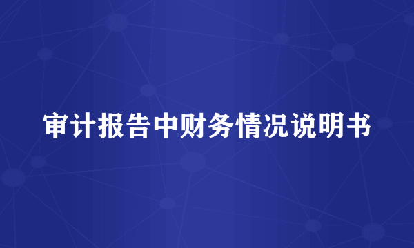 审计报告中财务情况说明书