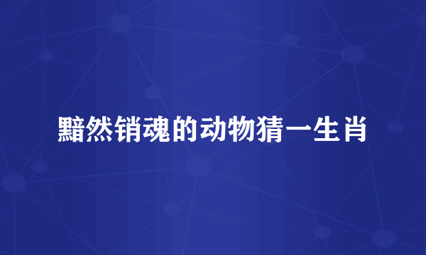 黯然销魂的动物猜一生肖