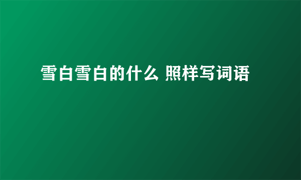 雪白雪白的什么 照样写词语