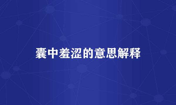 囊中羞涩的意思解释