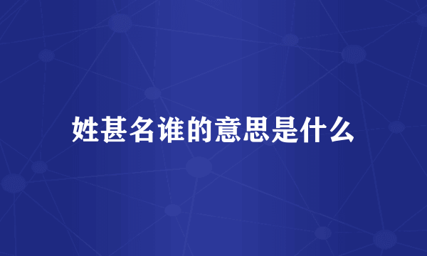 姓甚名谁的意思是什么