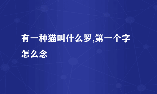 有一种猫叫什么罗,第一个字怎么念