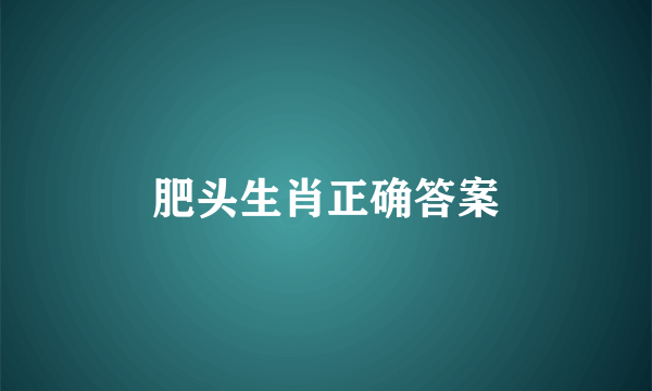 肥头生肖正确答案